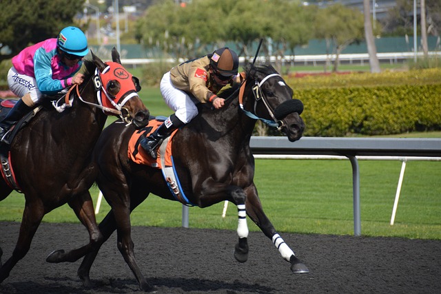Betting Strategy